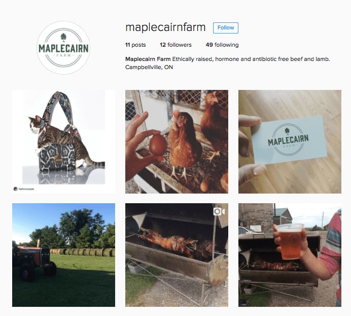 screen-shot-2016-11-16-at-4-52-37-pm