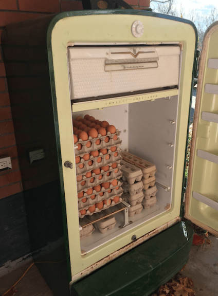 screen-shot-2016-11-16-at-8-06-18-pm